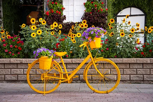 Dutch flowers and bicycle