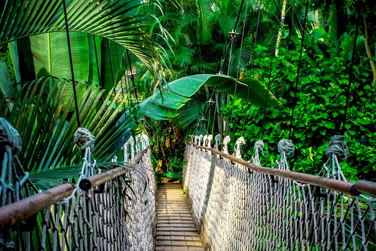 Rope Bridge in Thailand