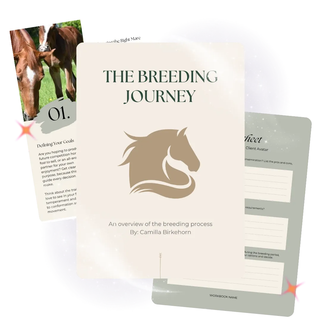 A mare being led by young girl