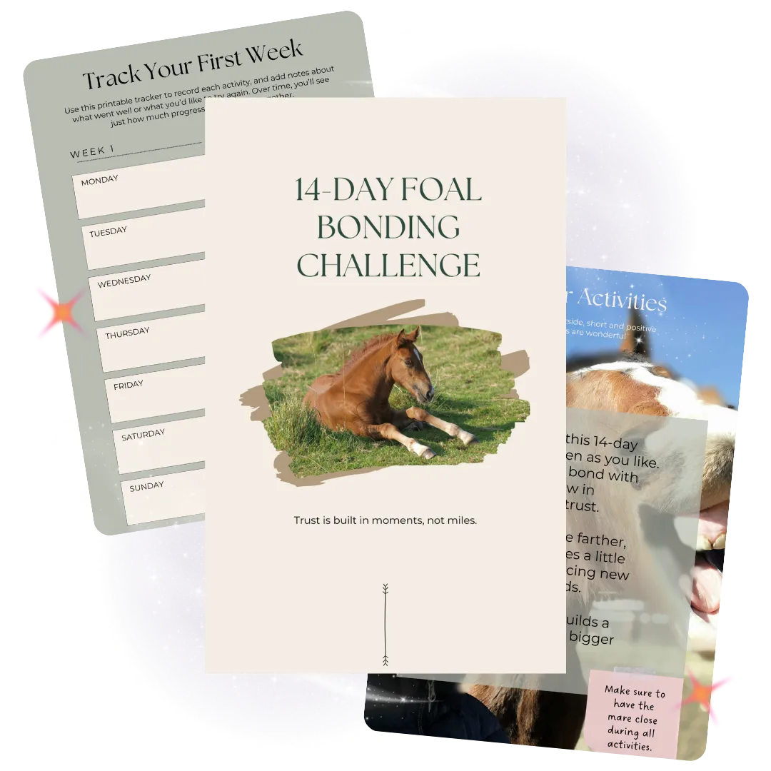 A mare being led by young girl