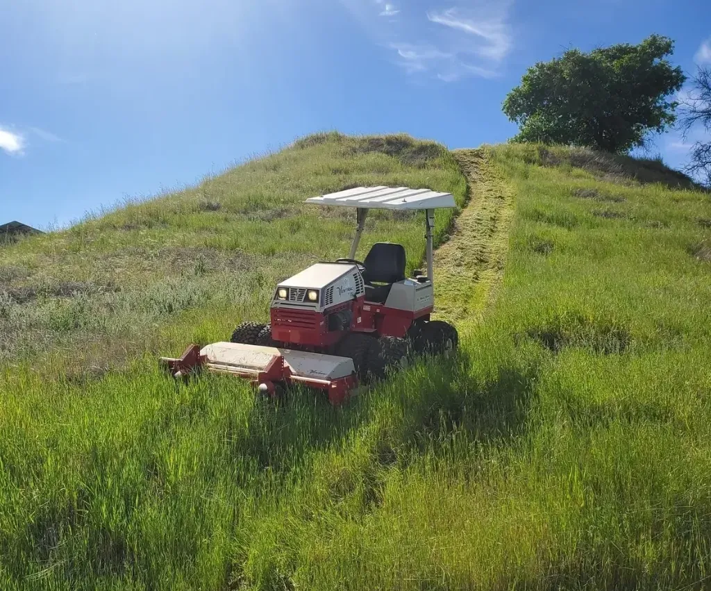Lawn Mowing Eastlakes NSW – Edging and Whipper Snipping