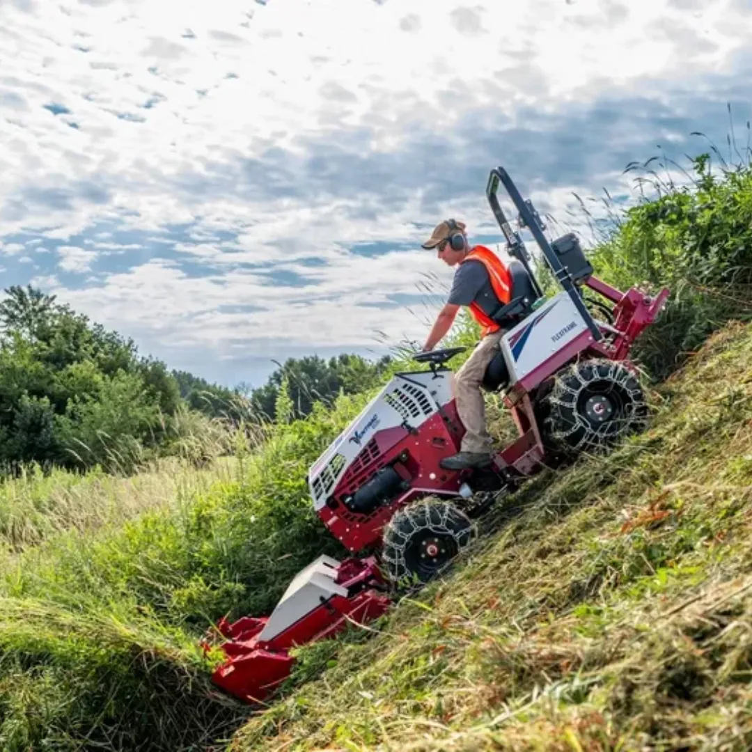 Garden Maintenance Sydney NSW – Pruning and Garden Care