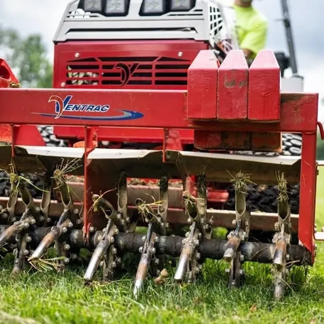 Hedging Services Sydney NSW – Privacy Hedge Trimming