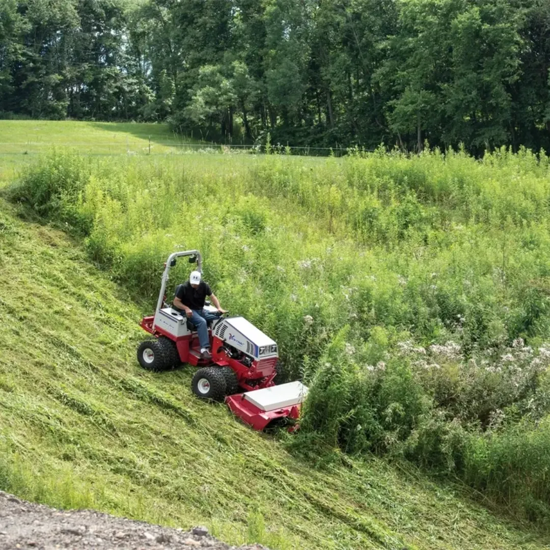Neatly trimmed privacy hedges and lawn mowing completed at residential property in Eastlakes NSW.