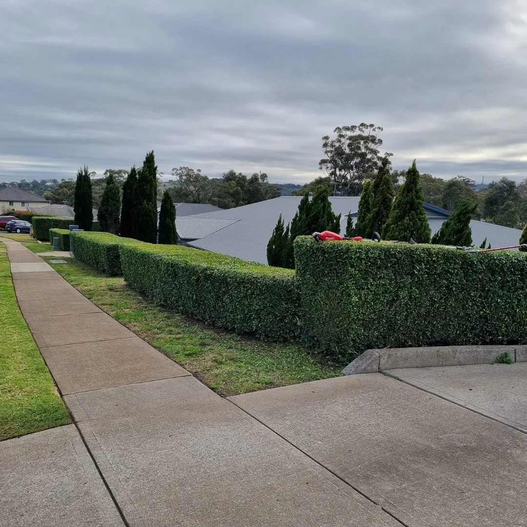 lawn mowing Sydney NSW