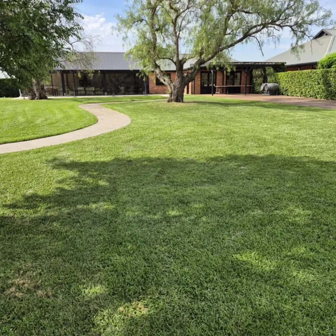 Garden maintenance and lawn care service completed at Sydney NSW residential property.