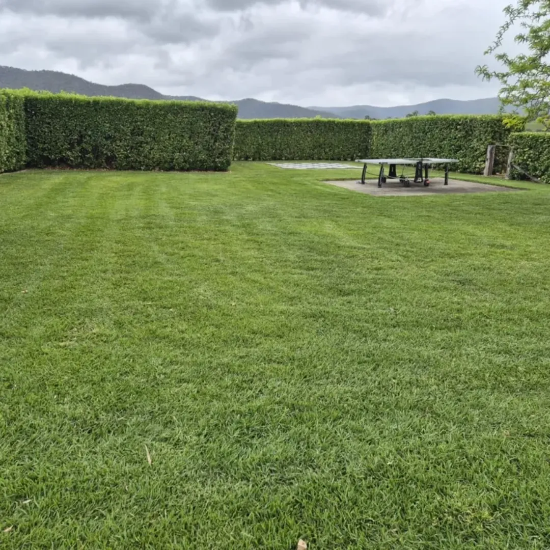 commercial lawn mowing eastern suburb sydney