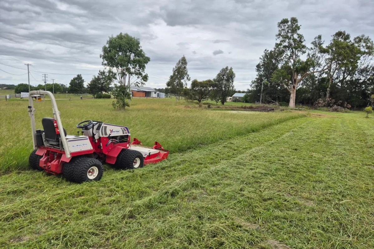 paddock slashing Singleton