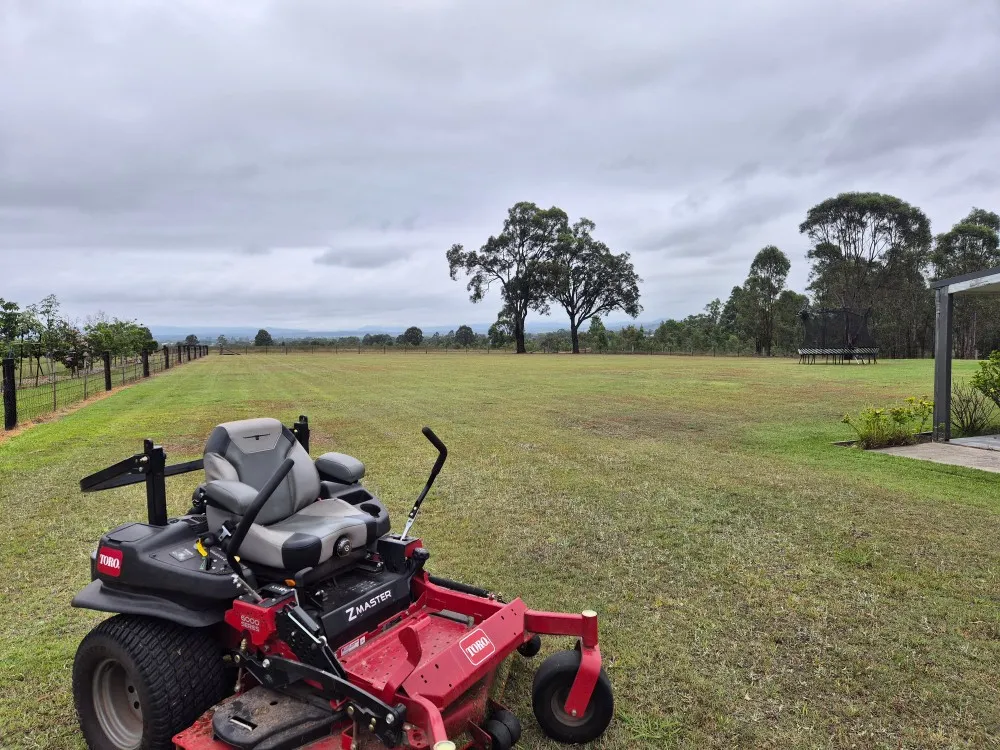 Hedging Services Sydney NSW– Boundary Hedge Trimming