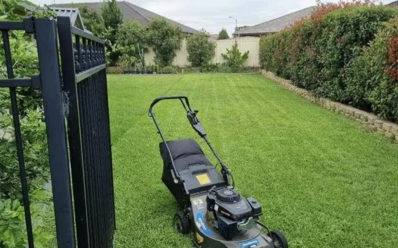 Lawn Mowing – Lake Macquarie – Residential lawn mowing service with clean, freshly cut grass