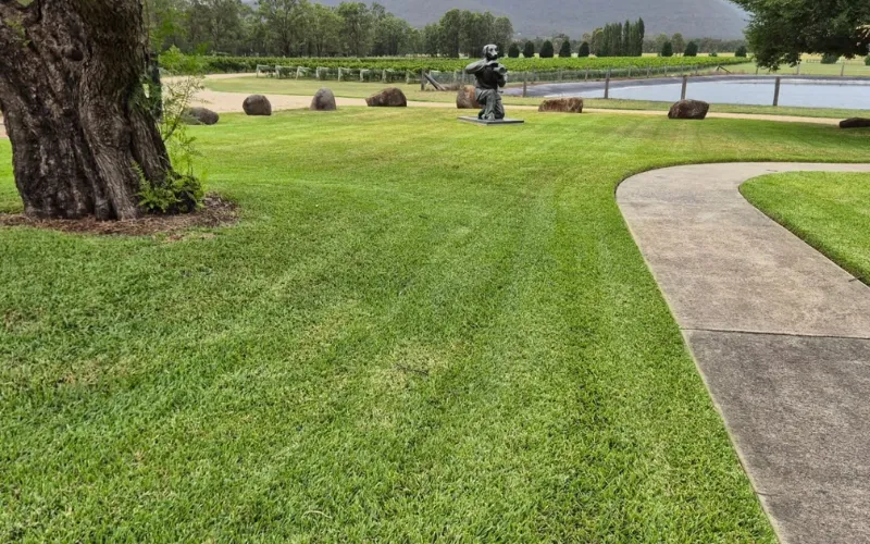 Lawn Mowing – Lake Macquarie – Commercial lawn mowing and grounds maintenance for business property