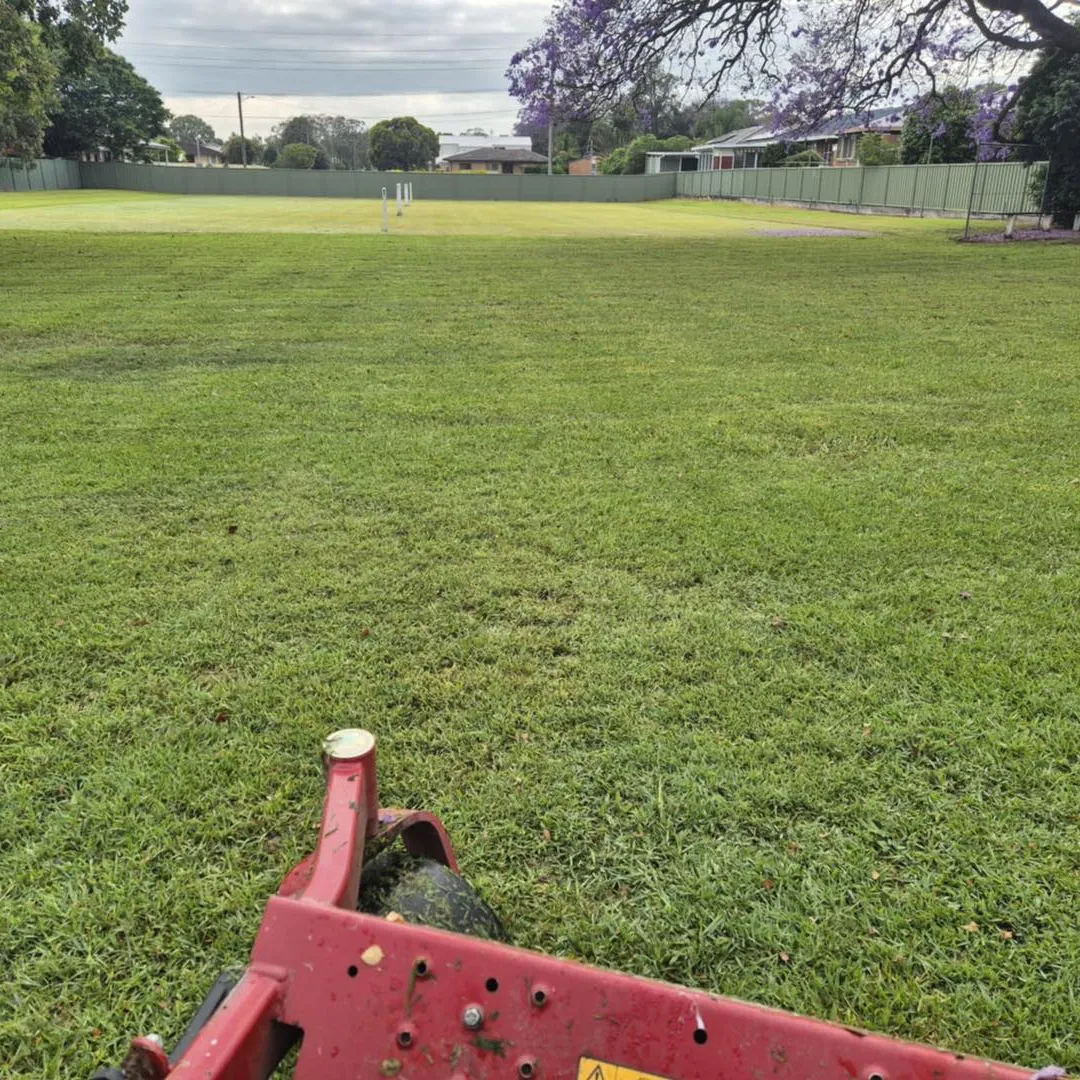 Lawn Mowing – Lake Macquarie – Even lawn cut with clean edges and maintained grass