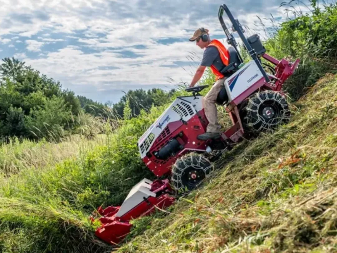 overgrown paddock clearing Singleton