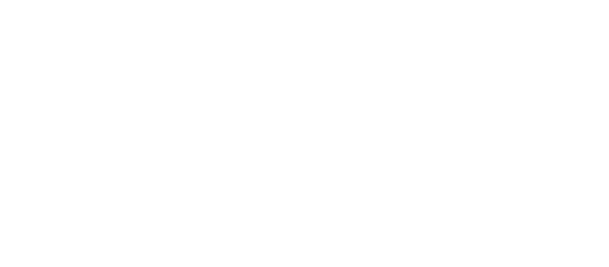 CT Dent Worx