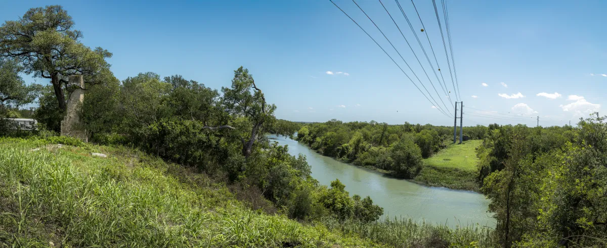 green and brown trees beside river during daytime