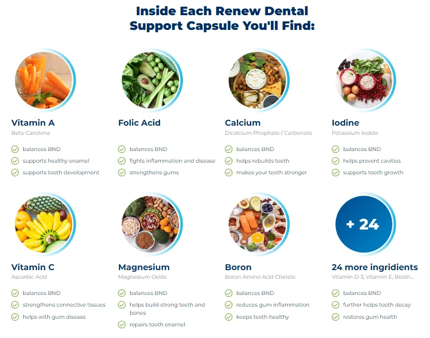 Renew Dental Support ingredients