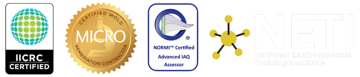 Mold Removal Certifications