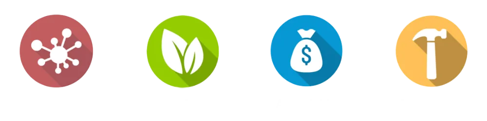 Mold Remediation Services