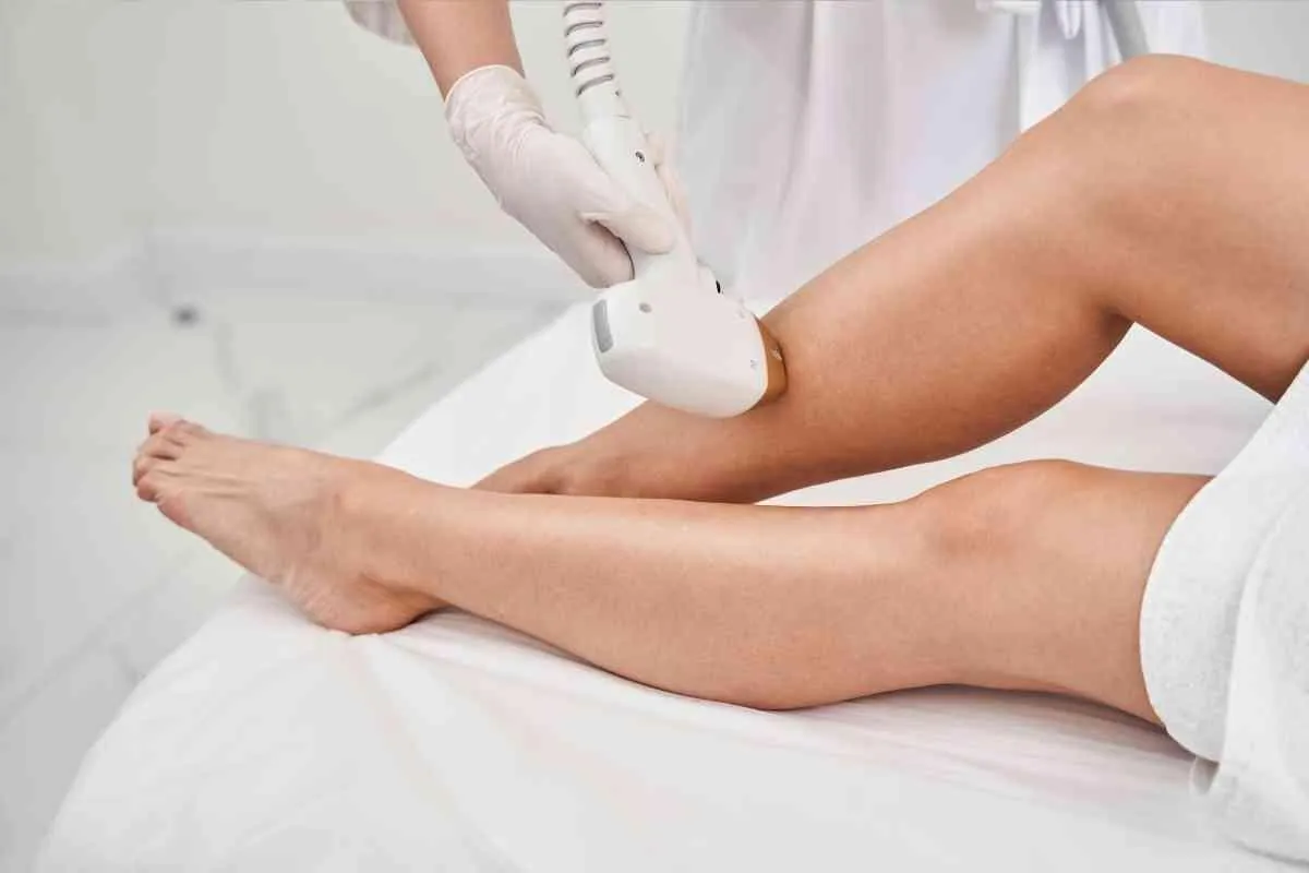 person holding dandelion flower