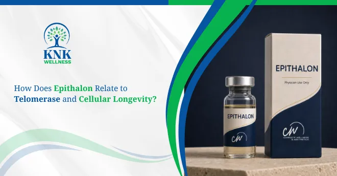 Epithalon Relate to Telomerase and Cellular Longevity