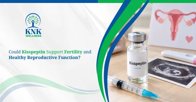 Could Kisspeptin Support Fertility and Healthy Reproductive Function?