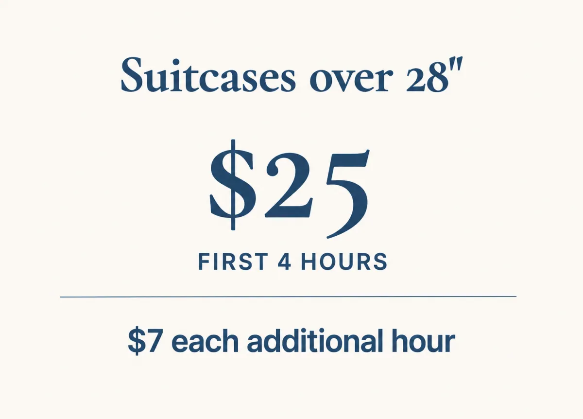 Large Suitcases Price image