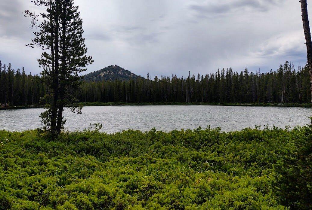 scenic view of lake in boise national forest