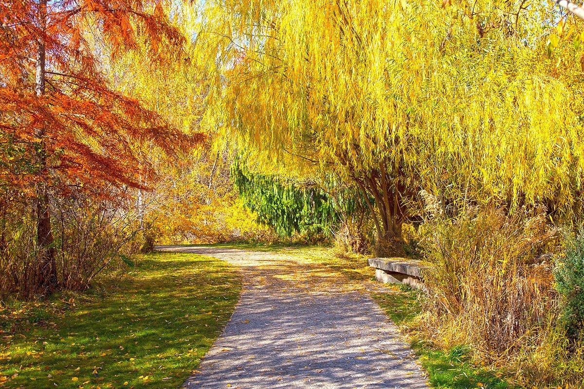 walk path in kathryn albertson park