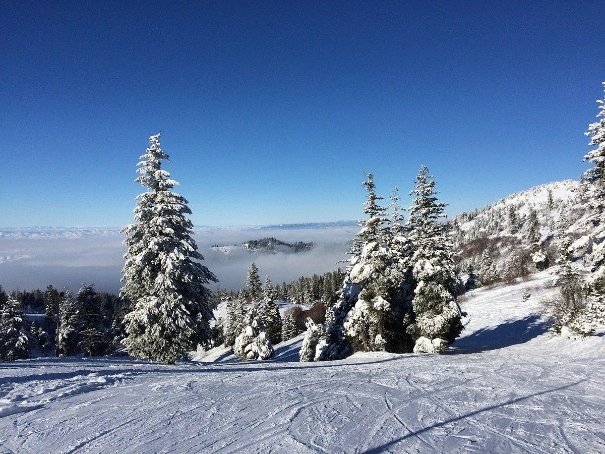 scenic view in bogus basin mountain recreation