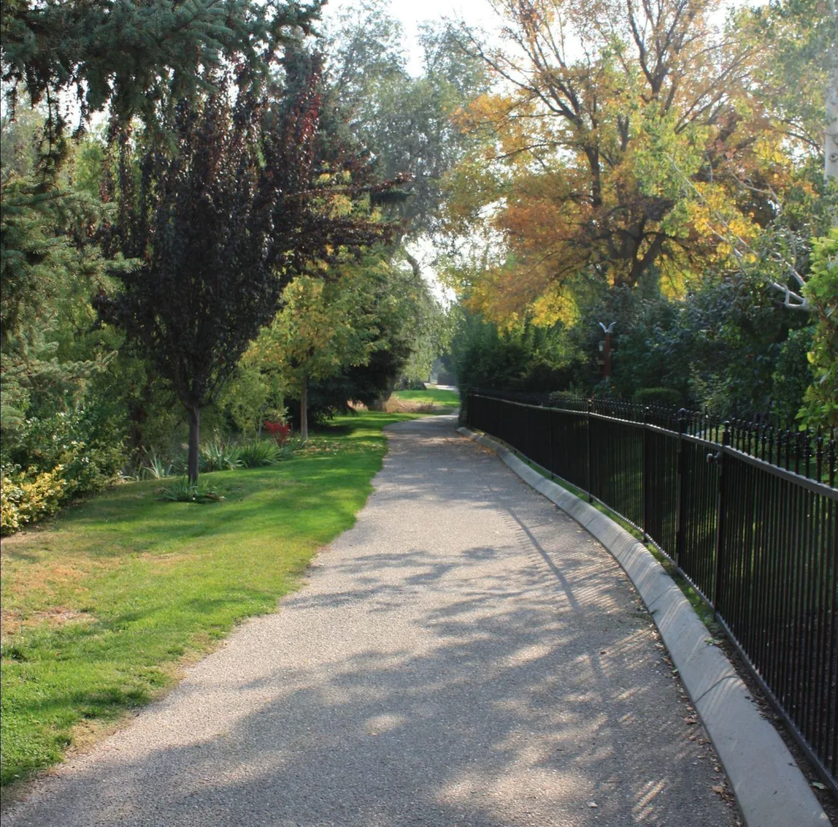 view of pathway in wilson creek trail