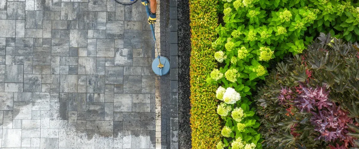 An overhead shot of a person using a surface cleaner on a grey paving stone patio next to green and red bushes.
