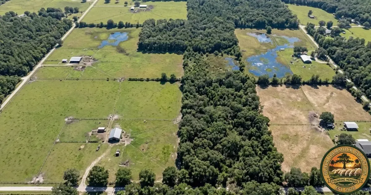A plat map overlay showing G1-classified agricultural parcels surrounding a denied property in east Seminole County — the comparable-properties research that exposes selective enforcement of classification standards.