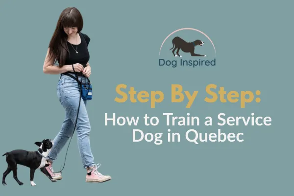 How to Train a Service Dog in Quebec (Step-by-Step Guide for Owner Training)