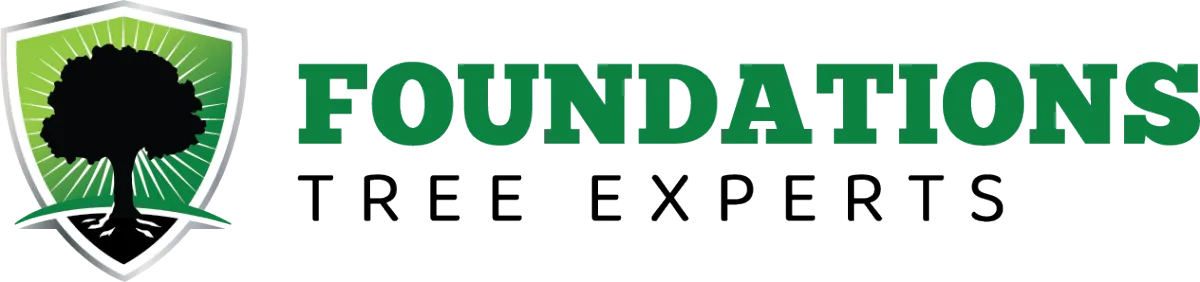 Foundations Tree Experts