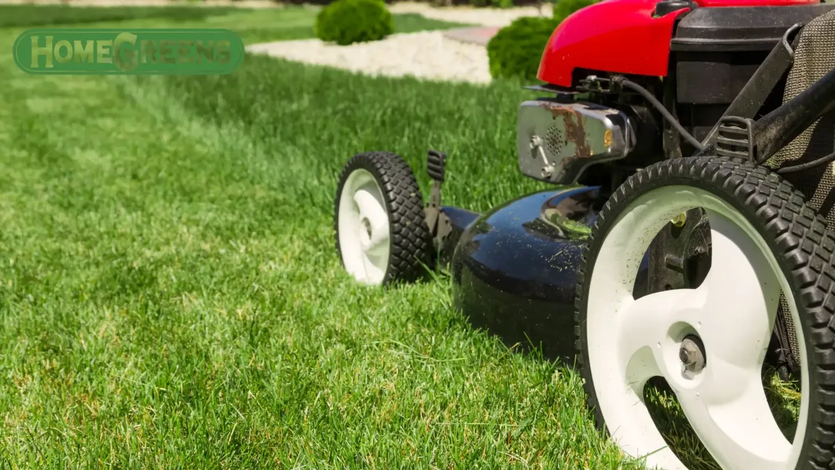 Revitalize Clay Soils with Lawn Aeration in Perth