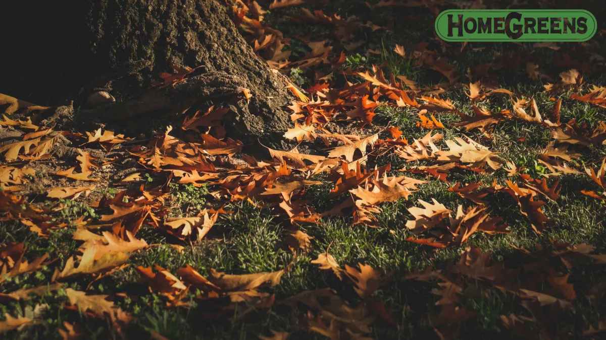 Lawn Pest Alert: Stop Armyworms Before They Spread