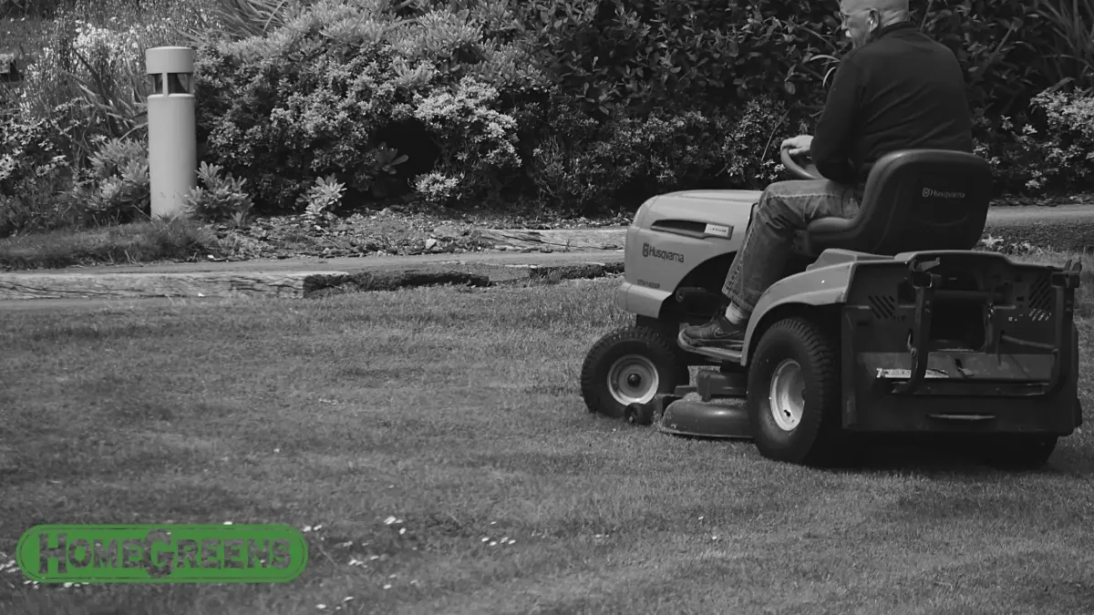 Verti-Mowing Perth fixes thatch before too late.