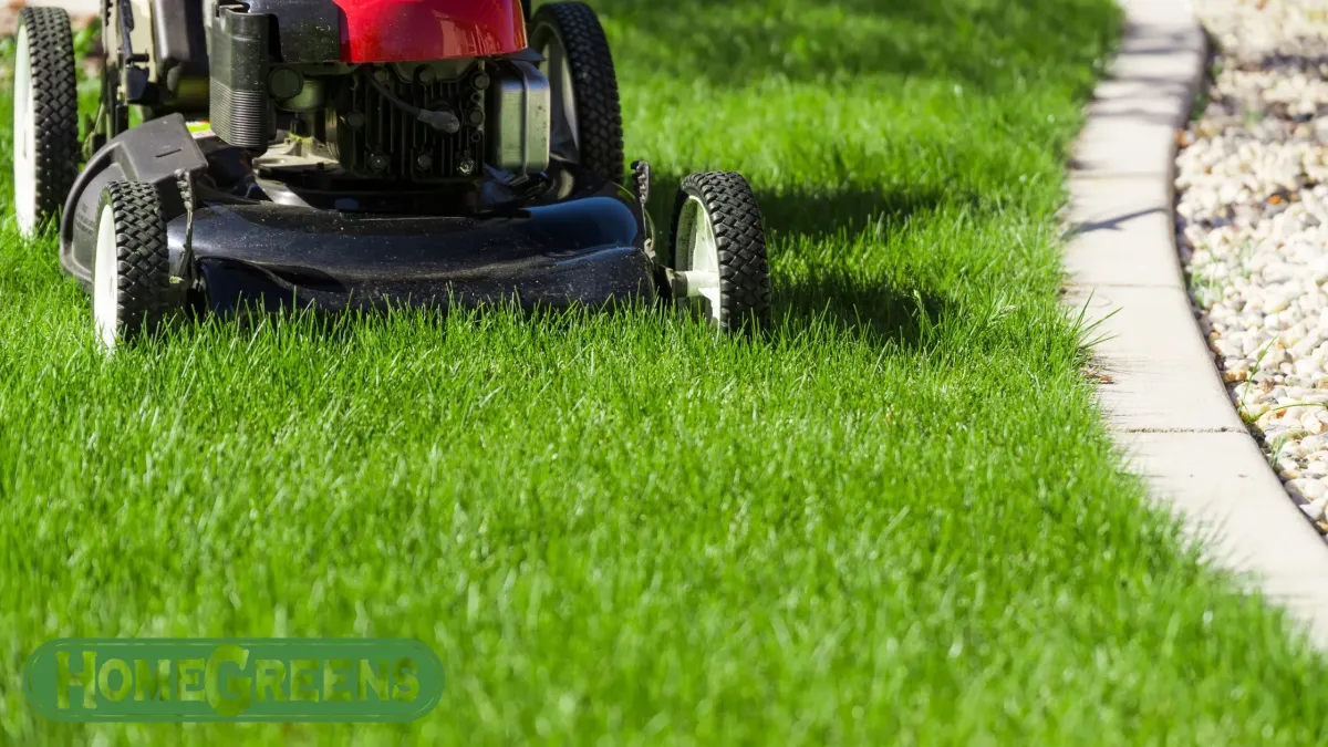 The Ultimate Guide to Lawn Mowing Perth: Fix These 8 Costly Mistakes Today!