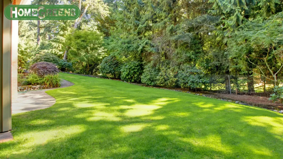 How to Keep Your Lawn Green in Perth | Expert Lawn Care Guide 2026