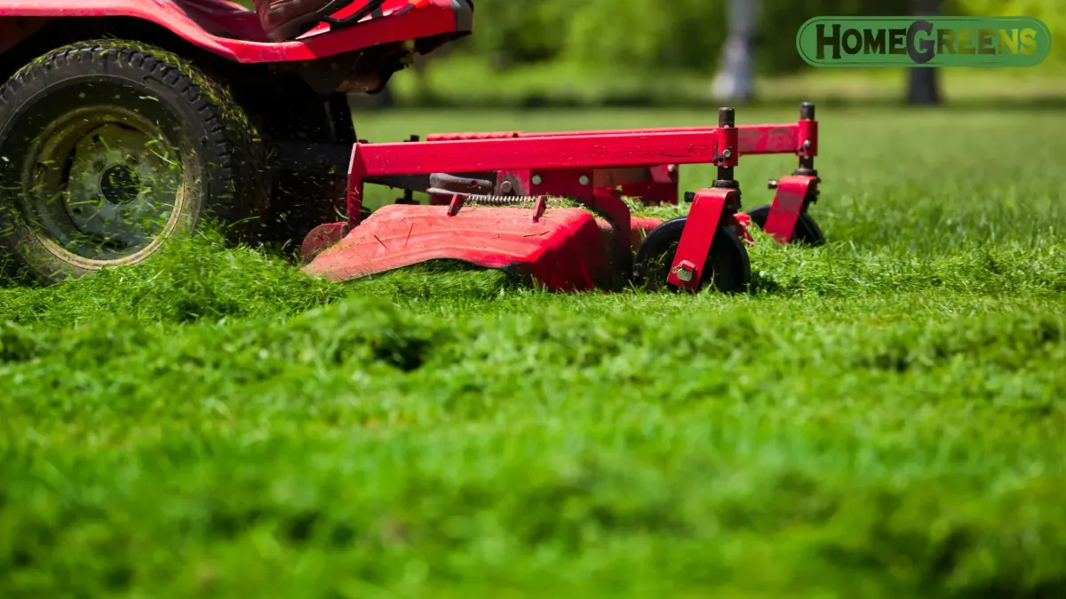 Best Time to Mow Lawn in Perth | Seasonal Mowing Guide 2026