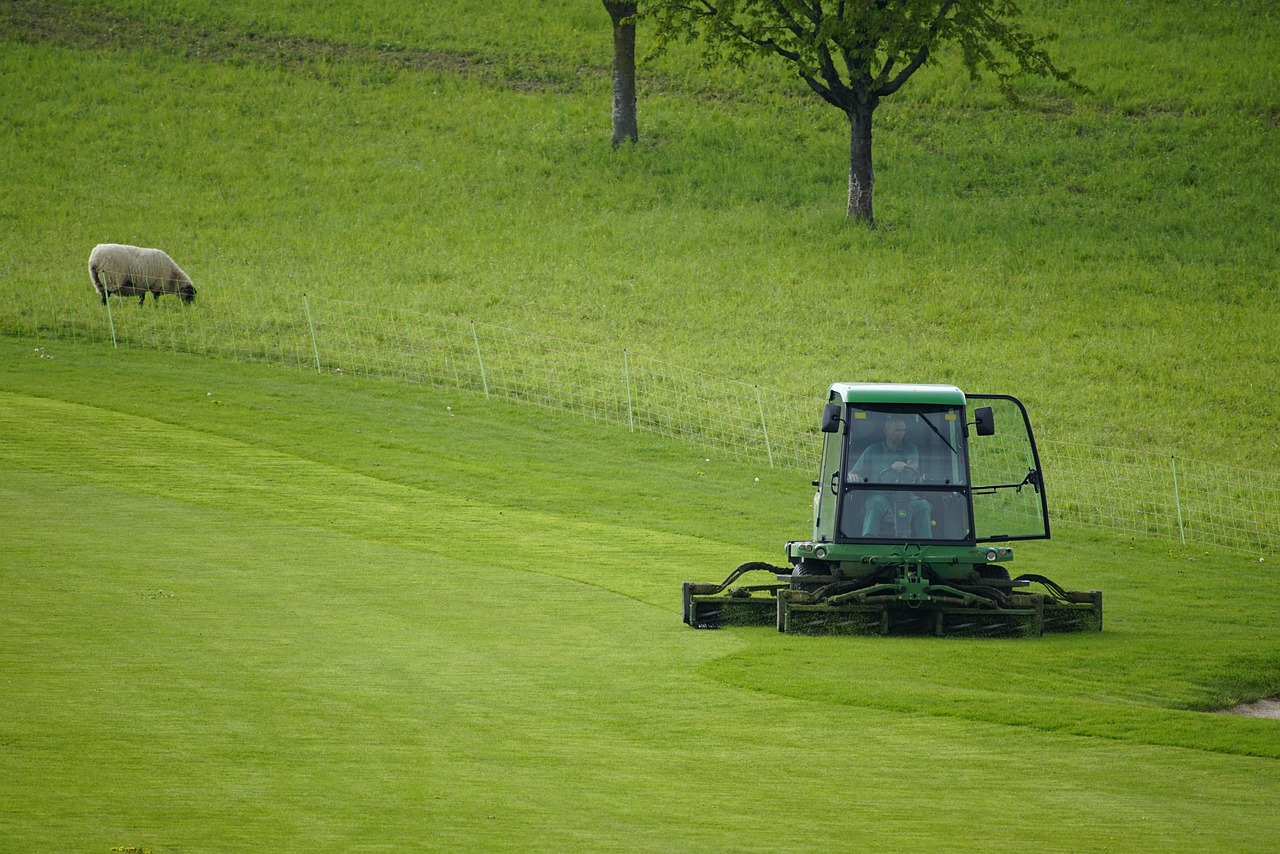Verti-mowing and lawn dethatching in Alexander Heights by HomeGreens