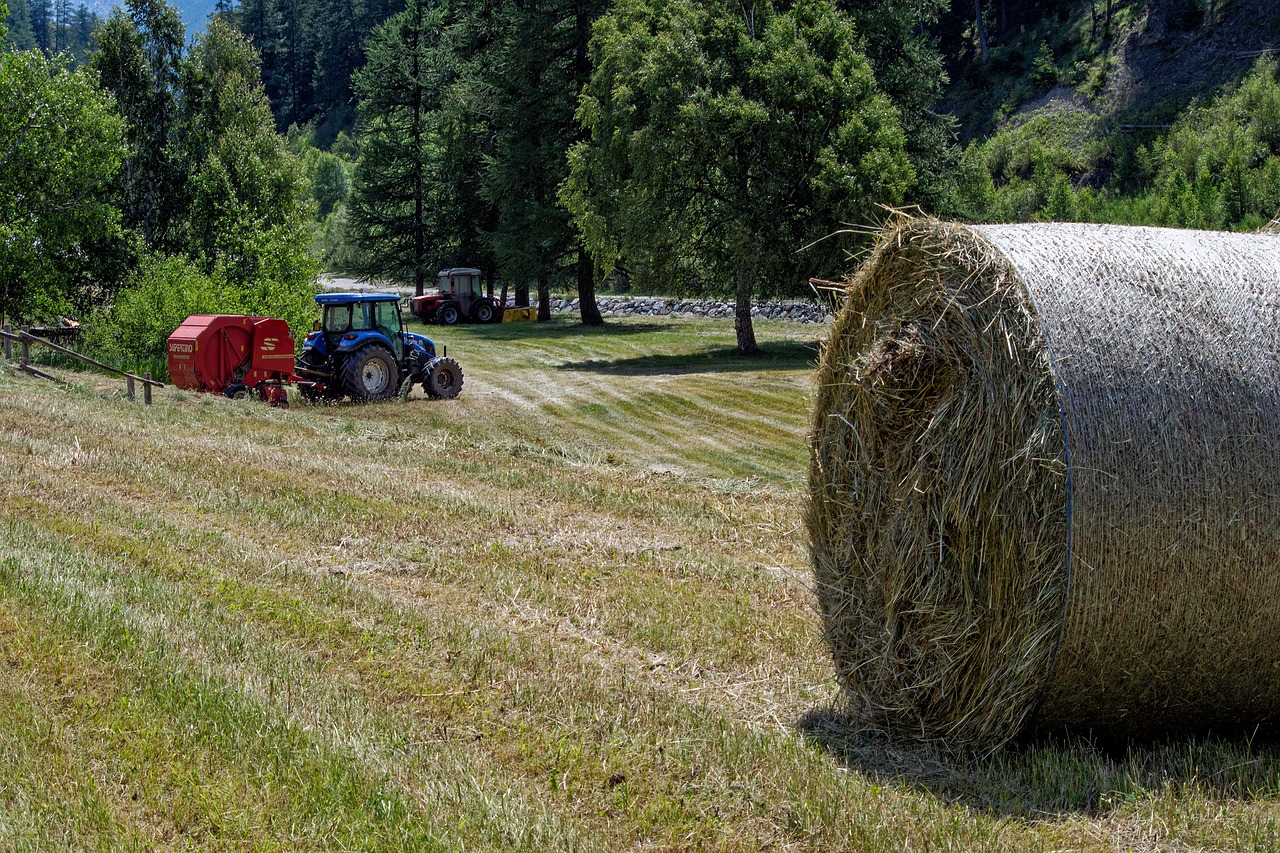 Verti-mowing service for ballajura properties by HomeGreens