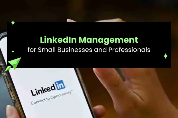 LinkedIn Management for Small Businesses and Professionals