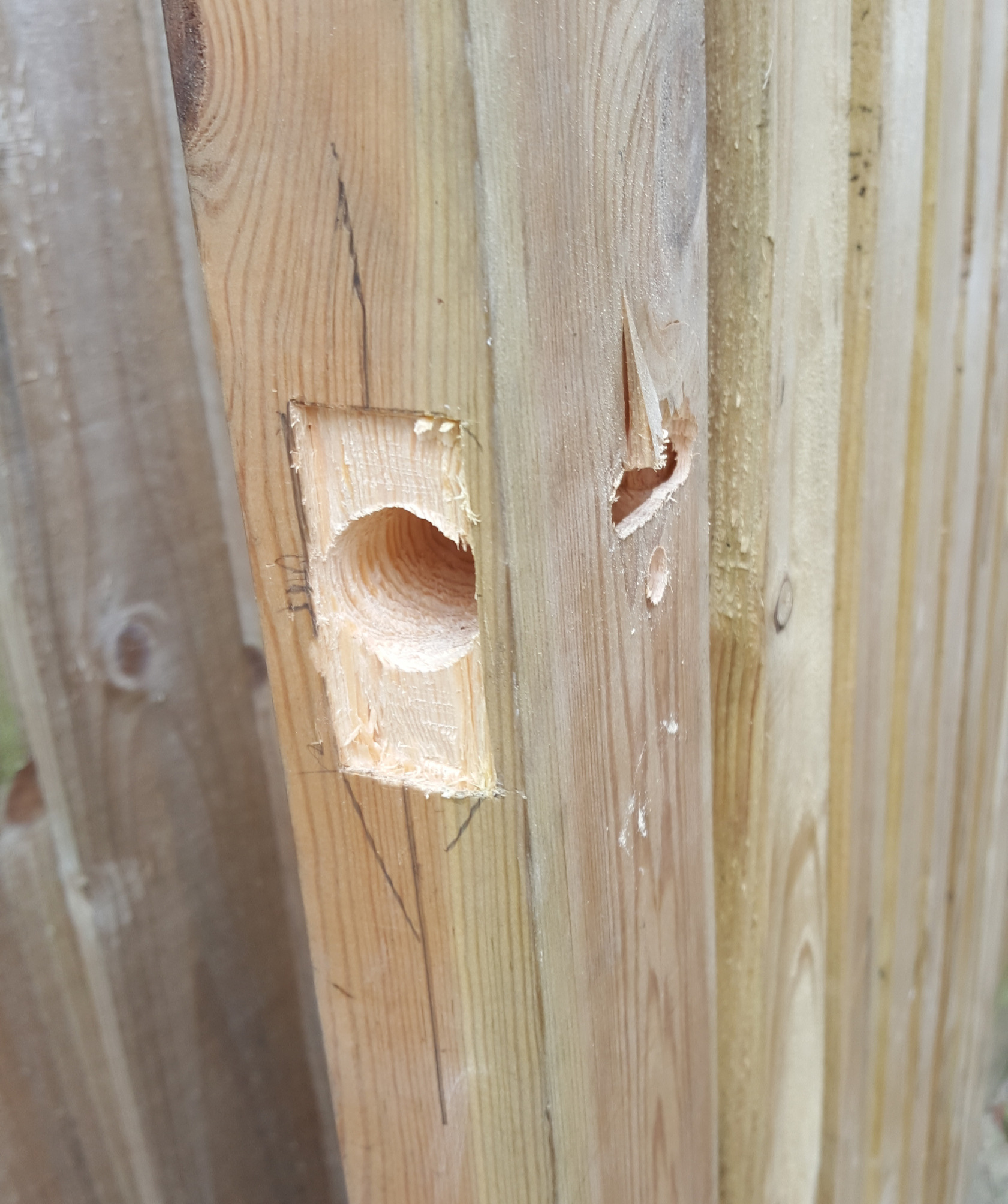 Local handyman in Reading