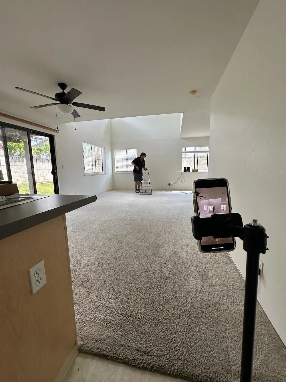 steamcleaning carpet in the living room