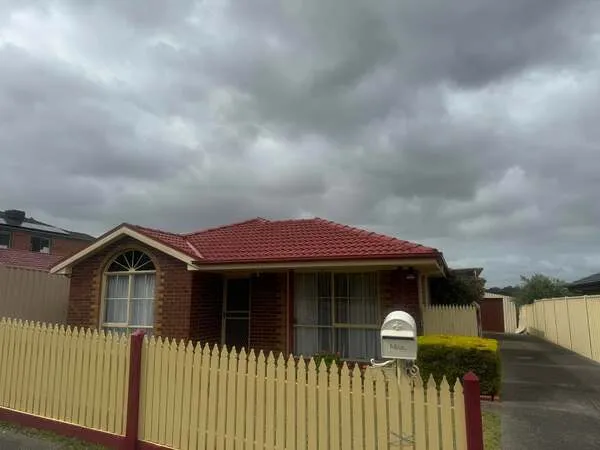 Interior Painting Crestmead
