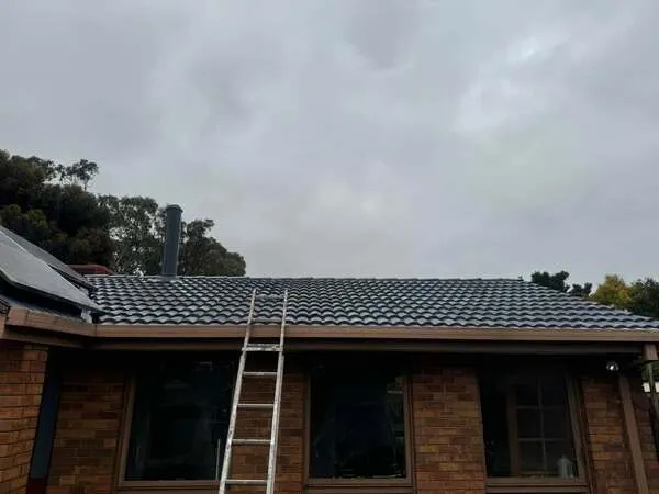 Interior Painting in Crestmead