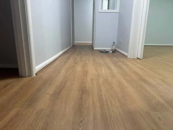 House Painting