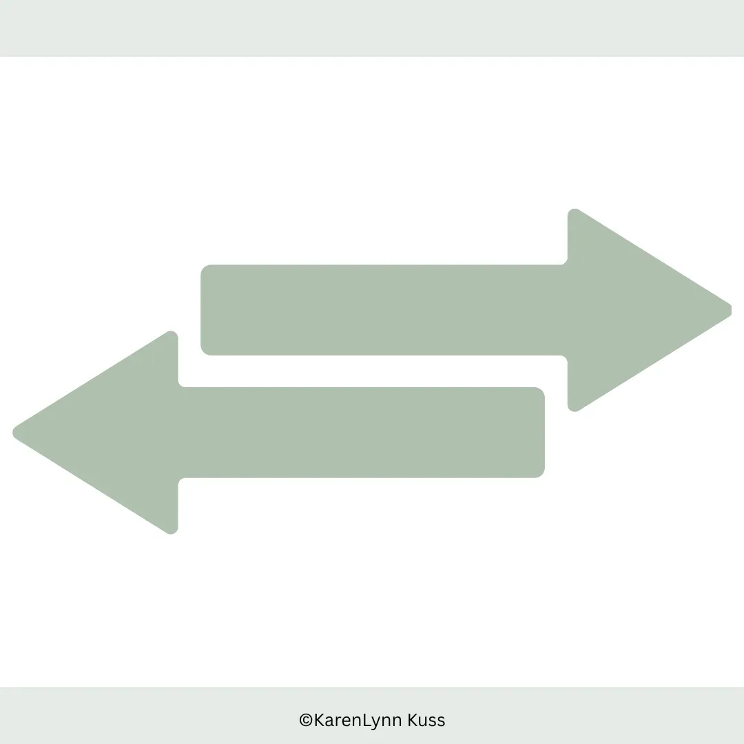  Icon for non-toxic product swap cheat sheet for low-tox kitchen updates