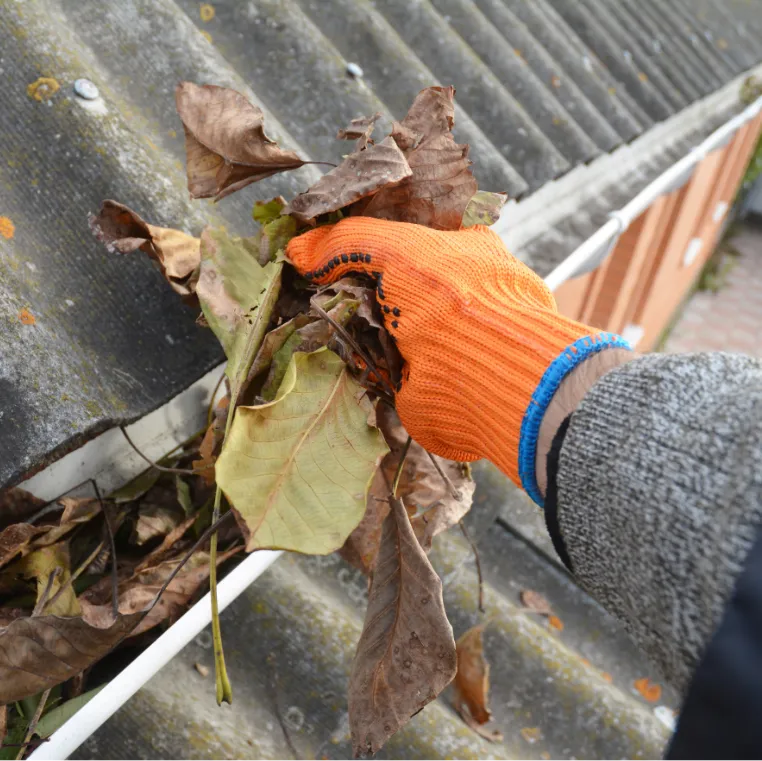 Gutter Cleaning